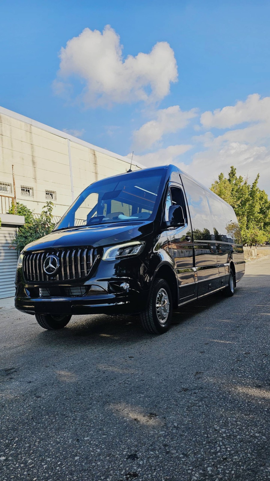 Minibus Mercedes-Benz Sprinter 519 Verus Plus VIP, vue de trois quarts avant